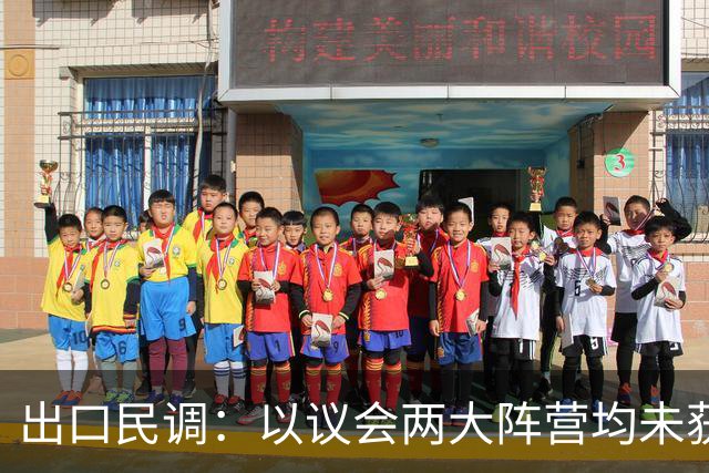 出口民调：以议会两大阵营均未获过半数席位