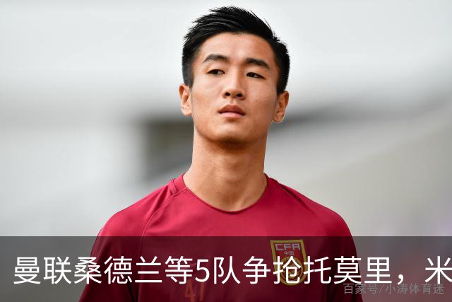 曼联桑德兰等5队争抢托莫里，米兰愿套现