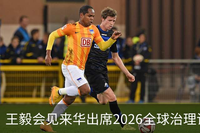 王毅会见来华出席2026全球治理论坛（雄安）的客人