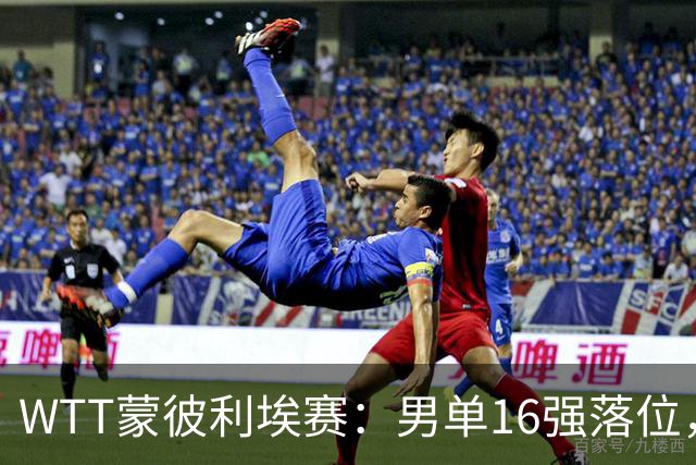 WTT蒙彼利埃赛：男单16强落位，国乒两大劲敌惨遭一轮游